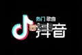 抖音爆火歌曲合集 (2020-2024)