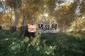 《獵人：野性的呼喚》聯(lián)機版
