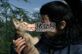 《浪人崛起》v1.0.0中文版