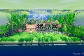 《養(yǎng)魚模擬器》v00.03.24中文版