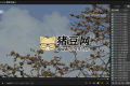 PotPlayer v1.7.22508綠色版