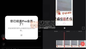 Videoleap Pro v1.22.1專業(yè)版 專業(yè)視頻剪輯工具