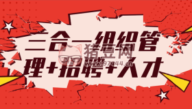 三合一組織管理+招聘+人才
