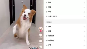 TikTok 抖音國際版v33.2.5 去廣告解鎖版