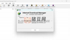 Internet Download Manager v6.4.2 免激活中文便攜版