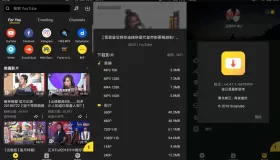 SnapTube v7.15.0.71560210解鎖高級(jí)版 油管下載器，一鍵下載YouTuBe視頻和音樂
