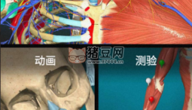 Anatomy Learning v2.1.392 3D解剖學