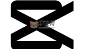CapCut v11.3.0剪映國際版解鎖專業(yè)版