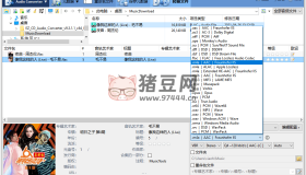 EZ CD Audio Converter v11.5.0.1
