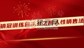 銷冠訓(xùn)練營3.0之順人性銷售法