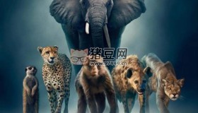 《王朝》(2022) 4K HLG 中字外掛字幕