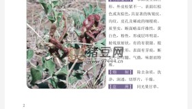 本草綱目原色圖譜800例
