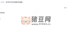 李宇軒羽毛球教學(xué)視頻合集