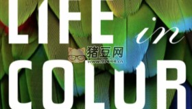《生命之色》 (2021) 4K HLG 中字外掛字幕