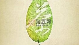 《茶》6集紀錄片