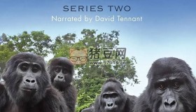 《荒野間諜》(2020) 1080P 中字外掛字幕