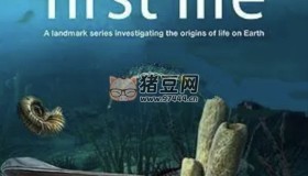 《生命的起源》 (2010) 1080P 中字外掛字幕