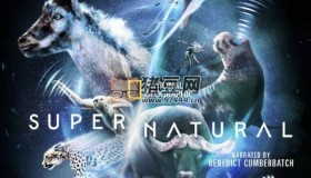 《超凡動物奇觀》(2022) 4K HDR 中字內嵌字幕