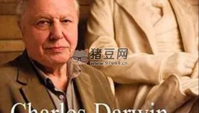《達(dá)爾文和生命之樹》 (2009) 720P 中字外掛字幕
