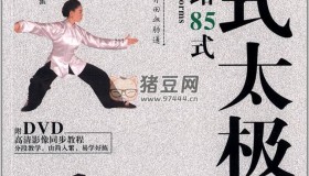 經(jīng)典套路85式楊氏太極拳視頻教程
