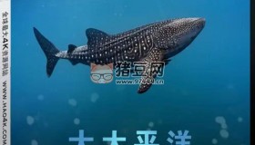 《大太平洋》(2017) 4K REMUX (藍(lán)光 原盤) 中字外掛字幕