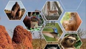 《自然的運(yùn)作》(2013) 1080P