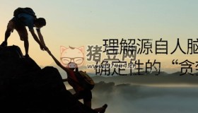 理解源自人腦對(duì)確定性的“貪婪”