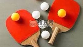 乒乓球技巧學(xué)習(xí)視頻教程