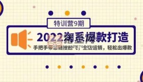 108將淘系爆款陪跑營(yíng)（第九期）