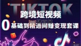 TIKTOK跨境短視頻0基礎(chǔ)到精通網(wǎng)賺變現(xiàn)課