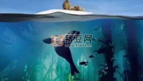 《藍色星球》 S2(2017) 4K REMUX (藍光 原盤) 中字外掛字幕