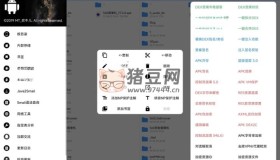 逆向神器NP管理器v3.1.3