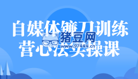 自媒體鐮刀訓(xùn)練營(yíng)心法實(shí)操課