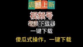 視頻號一鍵下載工具v1.0