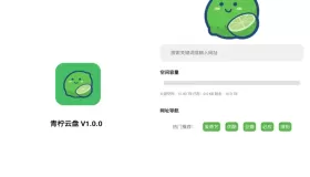 青檸云盤v1.0.2 集云盤和磁力下載于一體的軟件