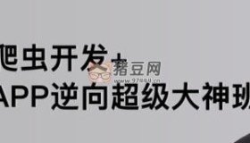 路飛學城：爬蟲開發(fā)+APP逆向超級大神班03期