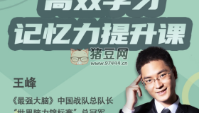 王峰高效記憶力提升課