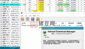 IDM v6.42.8綠色版 功能強大的多線程下載工具