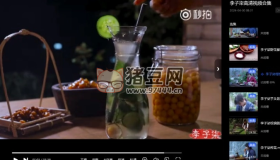 李子柒高清視頻合集