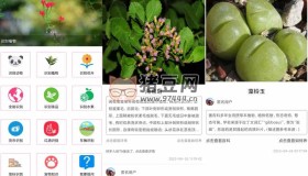 拍照識物v1.0 一款全能的拍照識別物品的軟件