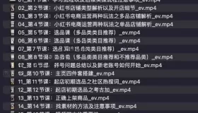 潮汕蔡總小紅書電商運營課