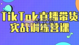 TikTok直播帶貨實(shí)戰(zhàn)訓(xùn)練營(yíng)課