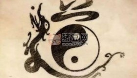 稀有珍藏道家資料合集522本電子書