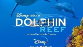《海豚礁》紀錄片 (2020) 4K HDR 中字外掛字幕