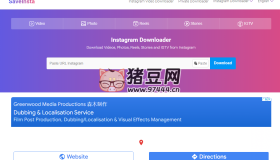 SaveInsta：最佳 Instagram在線下載器