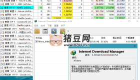 下載利器IDM v6.42.11綠色版