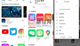 Google Play Store 谷歌商店v41.3.22