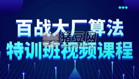 百戰(zhàn)大廠算法特訓班視頻課程