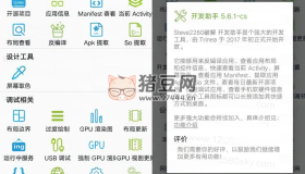 Dev Tools 開發(fā)助手v7.6.0專業(yè)版 反編譯等多功能