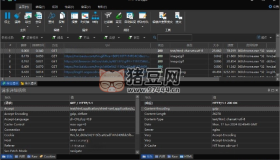 HTTP Debugger v9.9中文特別版 http嗅探器攔截抓包工具